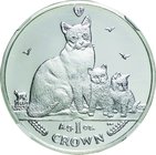 Isle of Man
Snowshoe Cat 1 Crown (1oz) Silver Proof
Year: 2014
Condition: Proof
Grade (Slab): NGC PF69 ULTRA CAMEO EARLY RELEASES
Diameter: 38.61...