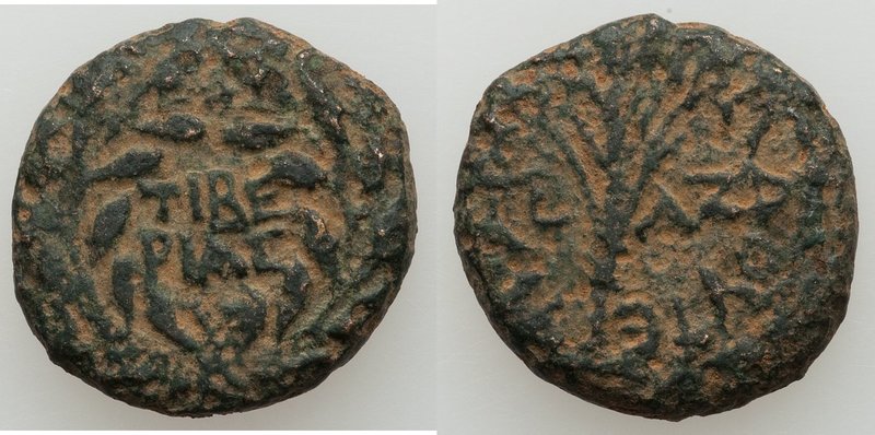 JUDAEA. Herodians. Herod III Antipas (4 BC-AD 39). AE half unit (19mm, 5.68 gm, ...