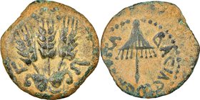 JUDAEA. Herodians. Agrippa I (AD 37-44). AE prutah (18mm, 11h). NGC VF. Dated Regnal Year 6 (AD 41/2). BACIΛEΩC AΓPIΠA, umbrella-like canopy / Three g...
