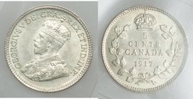 George V 5 Cents 1917 MS64 ICCS, Ottawa mint, KM22. 

HID09801242017