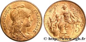 III REPUBLIC
Type : 5 centimes Daniel-Dupuis 
Date : 1900 
Quantity minted : 7400000 
Metal : bronze 
Diameter : 25 mm
Orientation dies : 6 h.
...