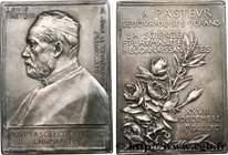FAMOUS FIGURES
Type : Plaque, Louis Pasteur 
Date : n.d. 
Metal : silver plated bronze 
Diameter : 67 mm
Engraver : O ROTY = Louis-Oscar Roty (18...