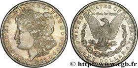 UNITED STATES OF AMERICA
Type : 1 Dollar Morgan 
Date : 1881 
Mint name / Town : San Francisco 
Quantity minted : 12760000 
Metal : silver 
Mill...