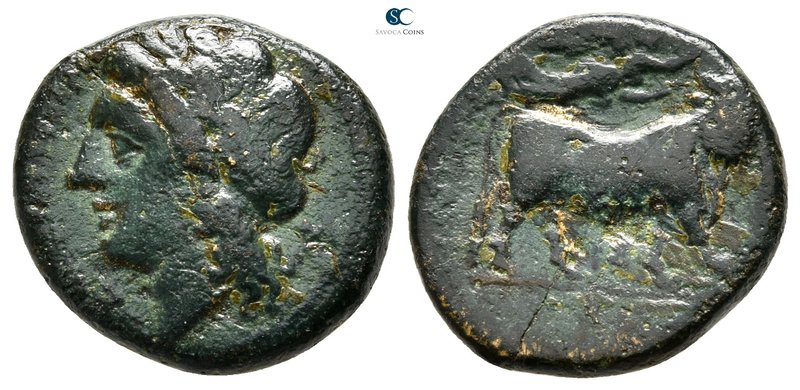 Campania. Neapolis 300-275 BC. 
Bronze Æ

20 mm., 5,36 g.



very fine