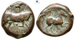 Apulia. Arpi 300-200 BC. Bronze Æ