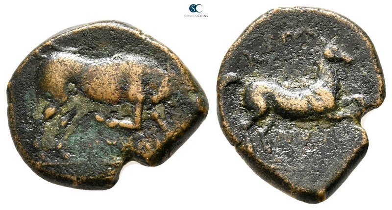 Apulia. Arpi 275-250 BC. 
Bronze Æ

20 mm., 4,67 g.



very fine