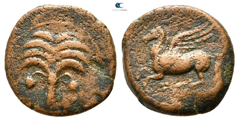 Sicily. Carthaginian Domain 400-350 BC. 
Bronze Æ

16 mm., 2,75 g.



ver...