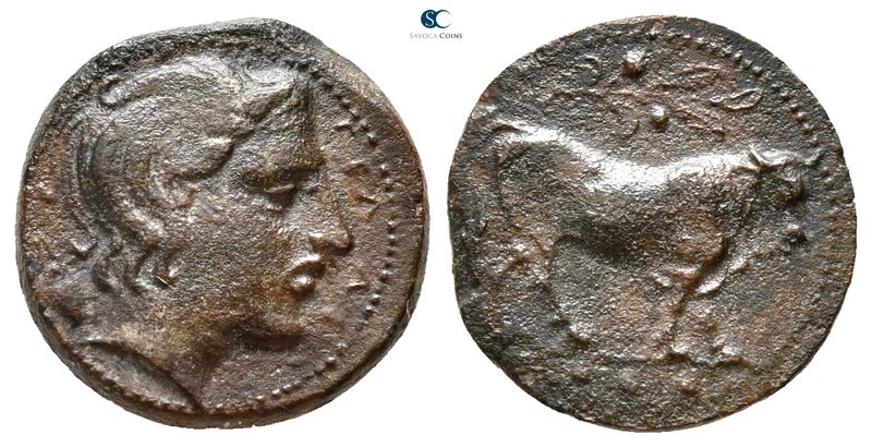 Sicily. Gela 420-405 BC. 
Tetras Æ

17 mm., 3,42 g.



very fine