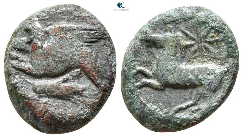 Sicily. Kainon 367-357 BC. 
Bronze Æ

20 mm., 8,33 g.



very fine
