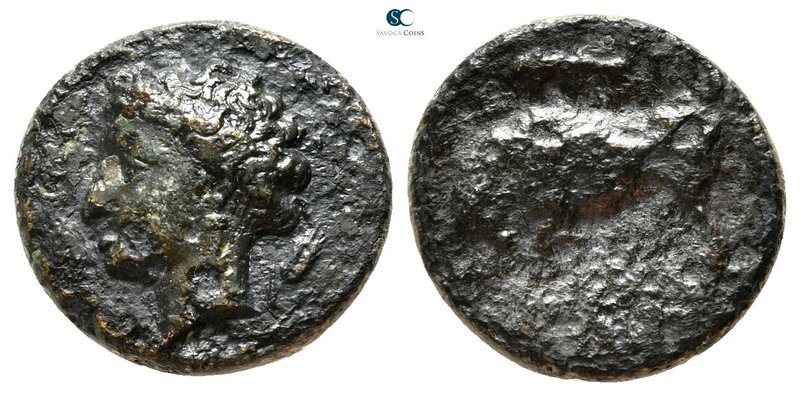 Sicily. Syracuse. Hieron II 275-215 BC. 
Bronze Æ

16 mm., 3,91 g.



nea...