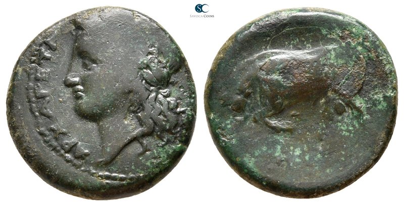 Sicily. Tauromenion 345-338 BC. 
Bronze Æ

20 mm., 6,08 g.



very fine