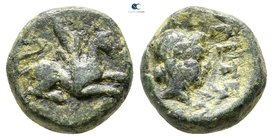 Thrace. Abdera 311-280 BC. Bronze Æ