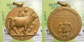 Medaglia Epoca Fascista - Federazione Nazionale Fascista Commercianti Prodotti Zootecnici - Anno XII-XV - Ae 15,31 Ø 32