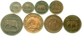 Ceylon
Lots
8 Stück: 6 Kupfermünzen George III. mit Elefant, 2 Kupfertokens. schön bis sehr schön