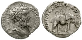 Kaiserzeit
Septimius Severus, 193-211
Denar IMP VIII = 196/197. Bel. Kopf r./MVNIFICENTIA AVG. Elefant r. sehr schön