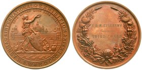 Australien
Victoria, 1837-1901
Große Bronzemedaille 1879 von A.B. Wyon. 3. Preis, verliehen an F. & M. Stiassny bei der internationalen Ausstellung ...