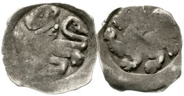 Nürnberg-Reichsmünzstätte
Friedrich II., 1215-1250
2 X Pfennig o.J.(1240/1268), 5. Gruppe. Löwe l./Königsbrb. v.v. mit zwei erhobenen Lilienzeptern,...