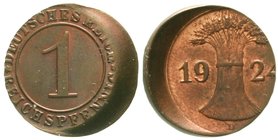Weimarer Republik
1 Reichspfennig 1924 D, ca. 30 % dezentriert. fast Stempelglanz