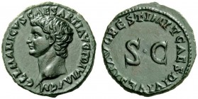 The Roman Empire 
 In the name of Germanicus, father of Gaius and brother of Claudius 
 As 80-81, Æ 9.97 g. GERMANICVS CAESAR TI AVG F DIVI AVG N Ba...