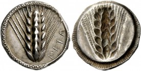 Greek Coins 
 Lucania, Metapontum. Nomos circa 495-480 BC, AR 8.09 g. 
 Description META Ear of barley. Rev. The same type incuse. References 
 Noe...