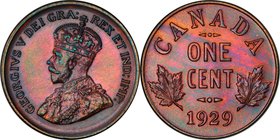 George V Specimen Cent 1929 SP65 Brown PCGS, Ottawa mint, KM28. Beautifully toned, with deep rose, orange, magenta and purple shades serving as a base...