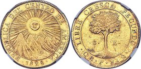 Central American Republic gold 8 Escudos 1828 CR-F AU50 NGC, San Jose mint, KM17. The first date of the sought-after largest denomination of the Centr...