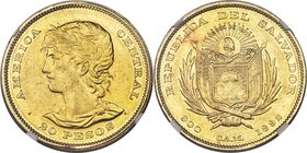 Republic gold 20 Pesos 1892-C.A.M. AU58 NGC, San Salvador mint, KM119. Mintage: 300. One of the classic large-size gold coins of the Central American ...