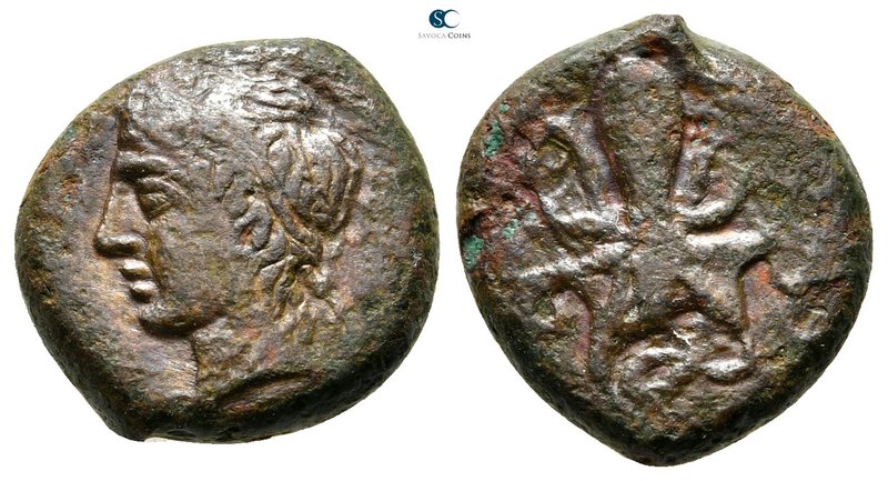 Sicily. Syracuse. Second Democracy 466-405 BC. 
Hemilitron Æ

16 mm., 4,14 g....