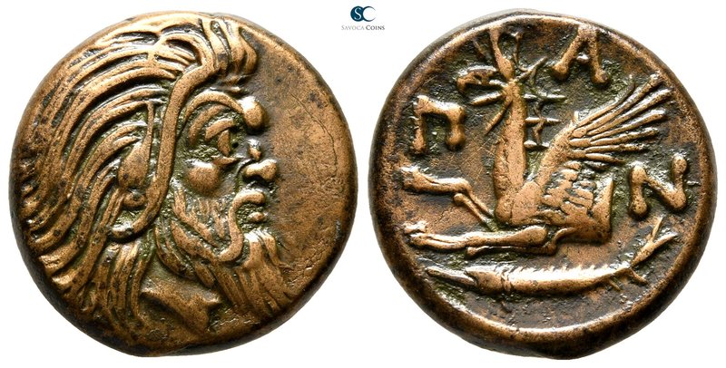The Tauric Chersonese. Pantikapaion circa 325-300 BC. 
Bronze Æ

21 mm., 7,96...