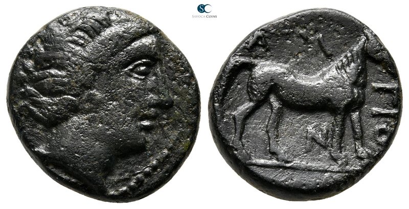 Thessaly. Atrax circa 300-275 BC. 
Bronze Æ

19 mm., 5,99 g.

Head of Boura...