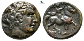 Thessaly. Atrax circa 300-250 BC. Bronze Æ
