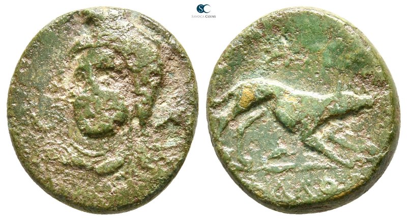 Thessaly. Phaloreia circa 302-286 BC. 
Bronze Æ

19 mm., 5,41 g.

Head of A...