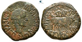 Hispania. Calagurris. Tiberius AD 14-37. Bronze Æ