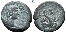 Egypt. Alexandria. Nero AD 54-68. Year LIΔ 14=AD 67/8. Bronze Æ