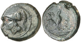 (265-240 a.C.). Italia. Caiatia. AE 20. (S. 568, de Teanum Sidicinum) (CNG. I, 367). 6,70 g. MBC.