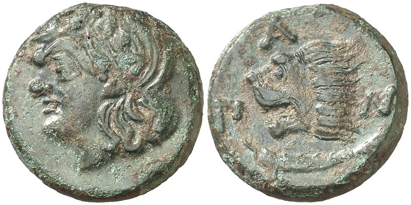 (310-303 a.C.). Bósforo Cimerio Pantikapaion. AE 20. (S. 1701) (CNG. VII, 114). ...