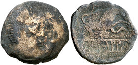 Beterra (Béziers). As. (FAB. falta) (ACIP. 2690). 5,47 g. RC/BC.