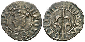 Alfons IV (1416-1458). Perpinyà. Diner. (Cru.V.S. 830.5) (Cru.C.G. 2877 var). 0,93 g. Buen ejemplar. MBC+.