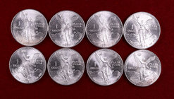 1982 a 1987 y 1989, 1990. México. 1 onza de plata pura. (Kr. 494.1/494.2). Lote de 8 monedas. A examinar. S/C.