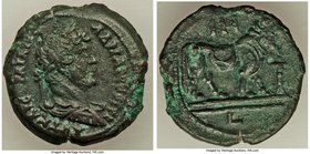 EGYPT. Alexandria. Hadrian (AD 117-138). AE diobol (24mm, 8.04 gm, 12h). XF. Dated Regnal Year 18 (AD 133/4). AVT KAIC TPAIAN-A∆PIANOC CЄB, laureate, ...
