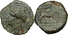 Greek Italy. Samnium, Southern Latium and Northern Campania, Aesernia. AE 21 mm. C. 263-240 BC. D/ Laureate head of Apollo left. R/ Man-faced bull wal...