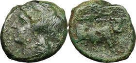 Greek Italy. Samnium, Southern Latium and Northern Campania, Aesernia. AE 21.5 mm, c. 263-240 BC. D/ Laureate head of Apollo left. R/ Man-faced bull w...