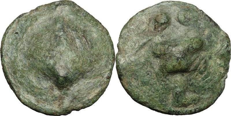 Greek Italy. Northern Apulia, Luceria. AE Cast Biunx, c. 217-212 BC. D/ Scallop ...