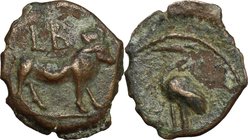 Julio-Claudian period, Caligula (?). AE Dichalkon, Alexandria mint, Egypt. D/ Apis bull standing right; LB (date) above. R/ Ibis standing left; [palm ...
