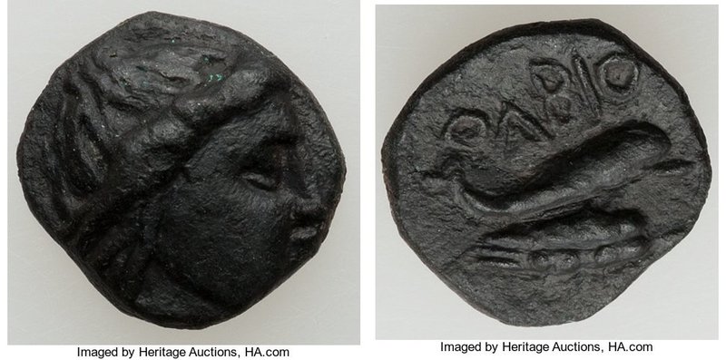 SCYTHIA. Olbia. Ca. 325-320 BC. AE (13mm, 2.17 gm, 11h). XF, lightly smoothed, r...