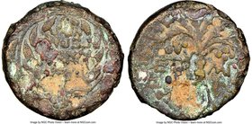 JUDAEA. Herodians. Herod Antipas (4 BC-AD 39). AE full denomination (22mm, 12h). NGC Good. Mint of Tiberias, dated Regnal Year 43 (AD 39-40). ΓAIO / K...
