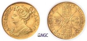 231-Angleterre
 Anne (1702-1714)
 1 guinée or - 1713.
 Exemplaire de la vente Heritage 410 du 2 juin 2006,
 N°13157.
 8.35g - Spink 3574 - KM 534...