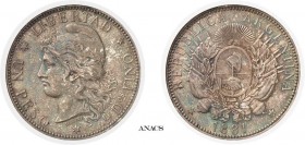 310-Argentine
 République (1862 à nos jours)
 1 peso - 1881.
 Rare dans cette qualité.
 Exemplaire de la collection Pittman.
 25.0g - KM 29
 Sup...