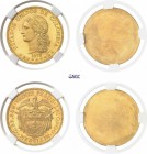 484-Colombie
 Etats-Unis de Colombie (1863-1886)
 Paire d'essais unifaces en bronze doré du 20 pesos or
 1873 Paris - Barre.
 D’une insigne rareté...