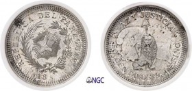 1110-Paraguay
 République (1811 à nos jours)
 Epreuve du 50 centavos - 18xx (vers 1889).
 Frappé sur un 50 centavos 1883 d’Argentine.
 Rarissime....